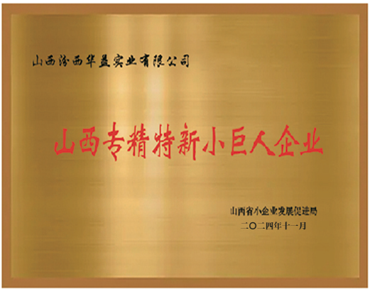山西专精特新小巨人企业.png